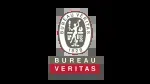 Bureau Veritas company icon