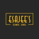 ESAJEES company icon