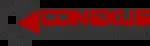 Conexus System company icon