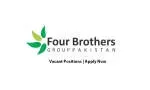 Four Brothers Group company icon