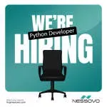 Nessovo solutions company icon