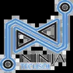 Ninja Tech Sol company icon