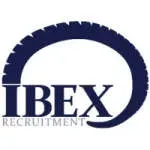talent ibex company icon