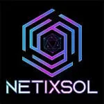 NetixSol company icon