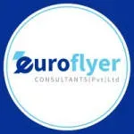 Euroflyer Consultants (Pvt) Ltd. company icon