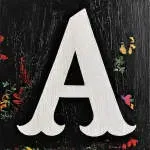 A.A Solutions company icon