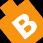 Bitswits Pvt Ltd company icon