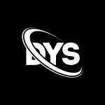 Dys Solutions Pvt Ltd company icon